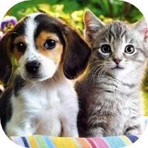 宠物家园app手机版