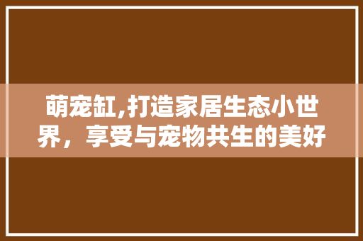 萌宠缸,打造家居生态小世界，享受与宠物共生的美好时光