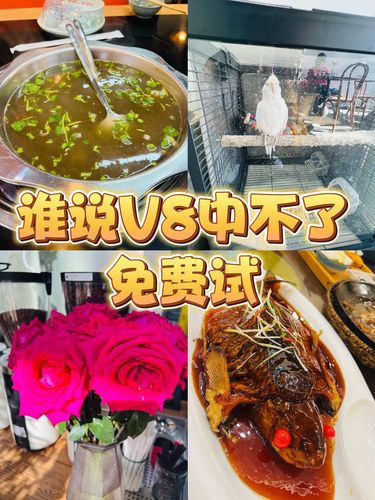 免费试，我居然中奖了⁉️