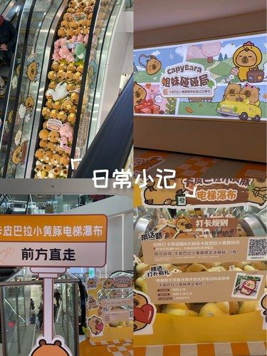 凯德茂大峡谷卡皮巴拉活动真不错