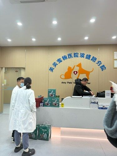 实名表扬滨盛路美美医院孙医生