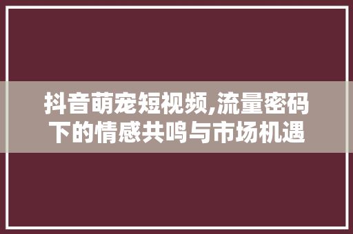 抖音萌宠短视频,流量密码下的情感共鸣与市场机遇
