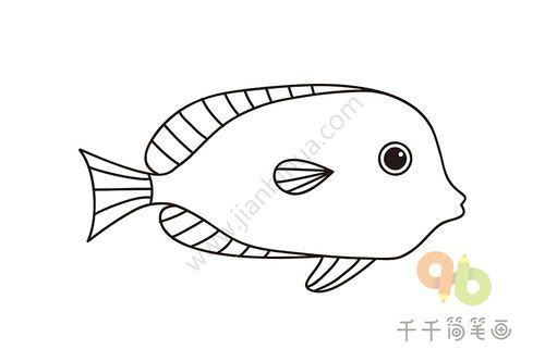 宠物绘画教程:热带鱼简笔绘/视频教程