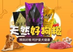 探索中国土斗鱼的完美食物选择：宠物饲料指南