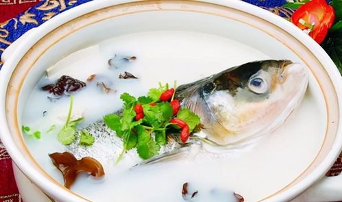 海洋霸主的美食:宠物鱼类精选指南