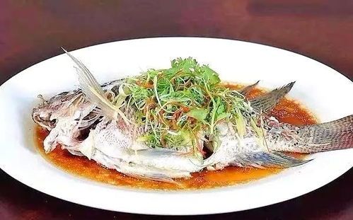 海洋霸主的美食:宠物鱼类精选指南