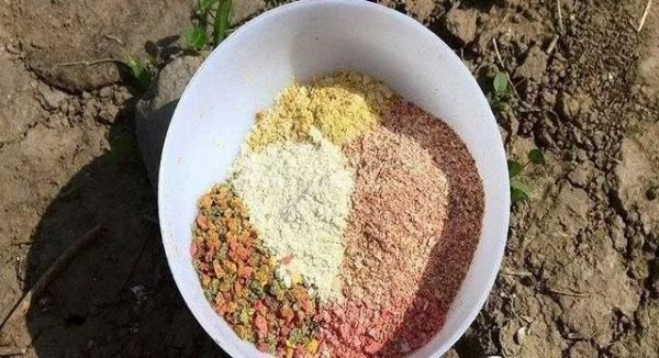秋末钓鱼，饵料用“腥”还是用“香”？选错又是浪费时间去喂鱼！