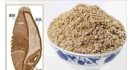 秋末钓鱼，饵料用“腥”还是用“香”？选错又是浪费时间去喂鱼！