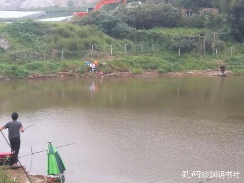 冰钓神器+鱼塘钓鱼秘籍,纯净水养鱼指南,宠物必备!
