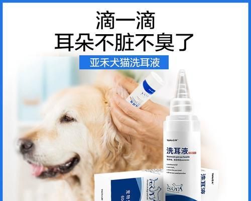 宠物金毛耳螨症状全面解析（掌握治疗方法，宠物健康从此不用愁）