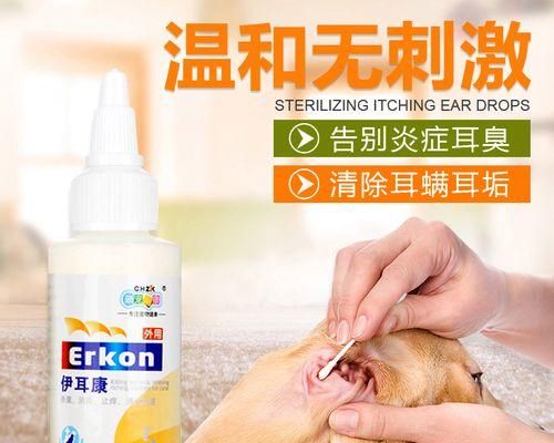 宠物金毛耳螨症状全面解析（掌握治疗方法，宠物健康从此不用愁）