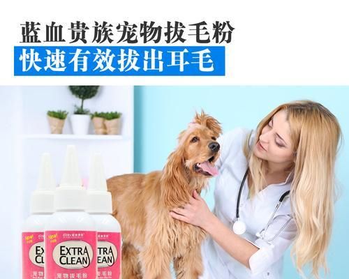 拉布拉多耳垢和耳螨的鉴别（宠物狗的耳朵健康需求与防护）
