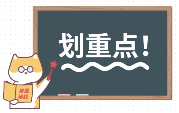 宠物猫狗感染耳螨怎么办？