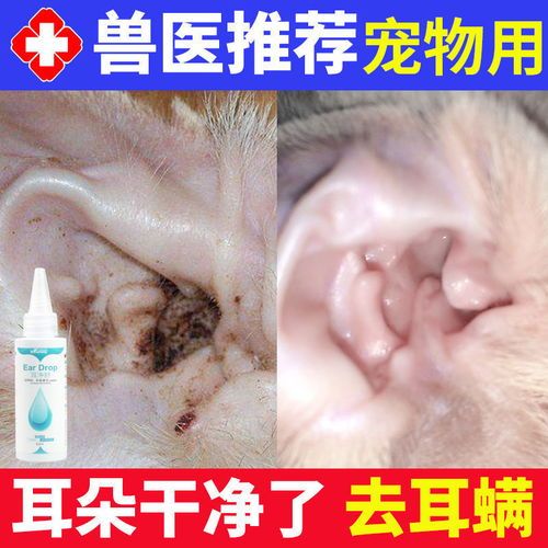 宠物耳螨处理攻略