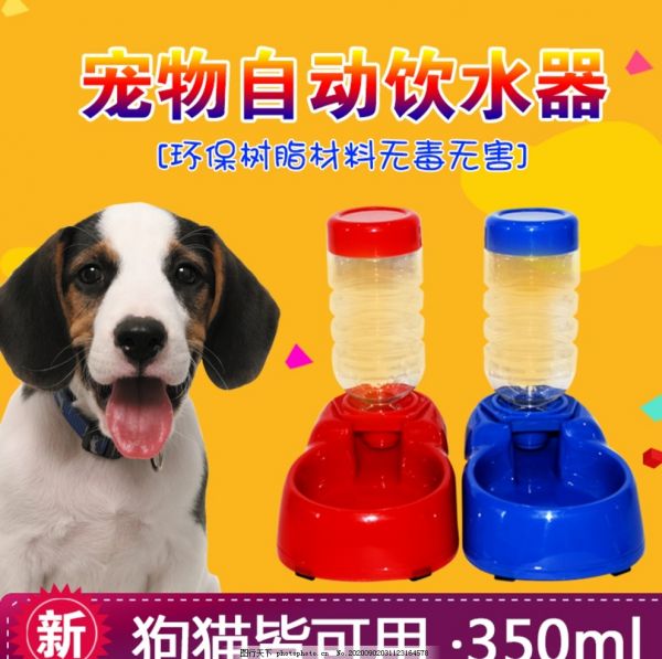 宠物猫狗饮水器淘宝主图设计图片