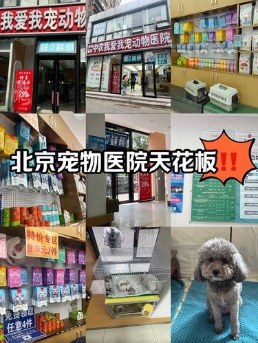 北京动物医院天花板‼️