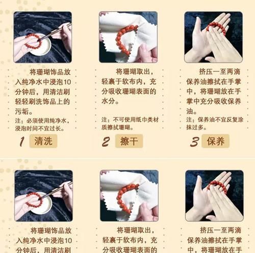 阿拉莫泥龟的饲养方法（健康成长需要注意的关键点）
