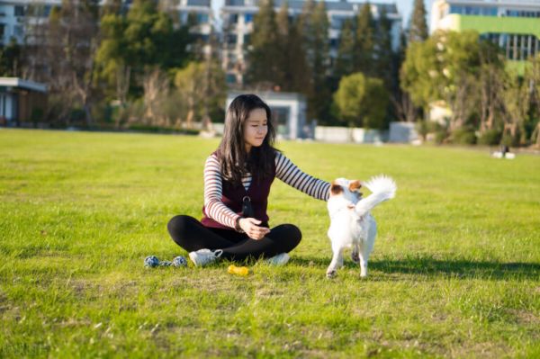 狗狗承认你是主人的 5 个表现,你收到了吗?