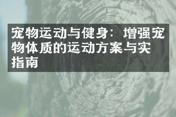 宠物运动与健身：增强宠物体质的运动方案与实施指南