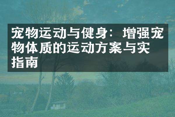 宠物运动与健身：增强宠物体质的运动方案与实施指南
