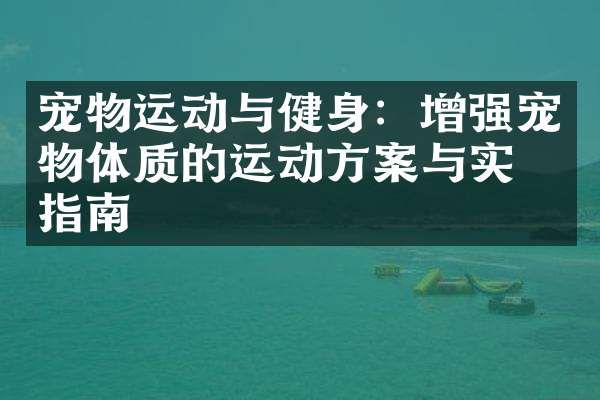 宠物运动与健身：增强宠物体质的运动方案与实施指南