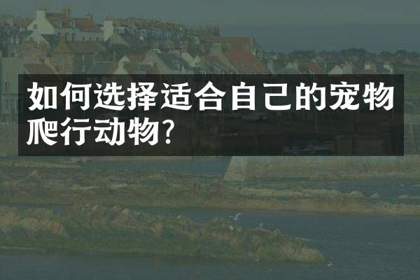 如何选择适合自己的宠物爬行动物？