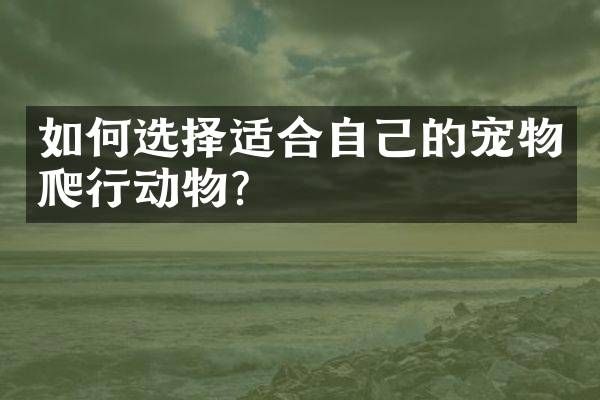 如何选择适合自己的宠物爬行动物？