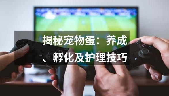 揭秘宠物蛋：养成、孵化及护理技巧-第1张-游戏信息-龙启网