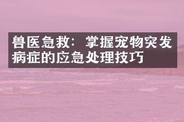 兽医急救：掌握宠物突发病症的应急处理技巧