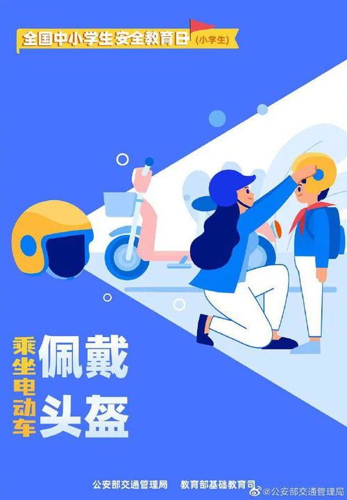宠物急救，守护健康每一步