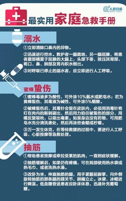 宠物中毒急救指南：家用方法速学