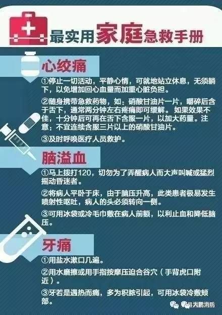 宠物中毒急救指南：家用方法速学