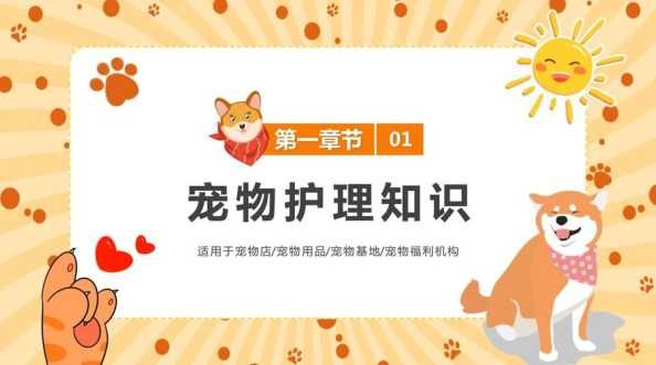 宠物健康怎么做PPT？如何制作宠物健康知识分享PPT？ 第1张