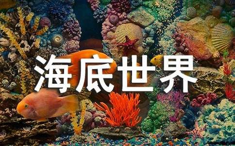 《海底世界》中班教案（通用26篇）