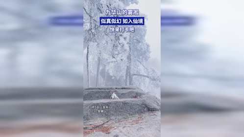 九华山的雾凇，似真似幻，如入仙境，快来打卡吧