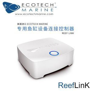 泗水红龙鱼视频（-泗水红龙鱼视频展示了一种在亚洲地区流行的观赏鱼类） 水族问答