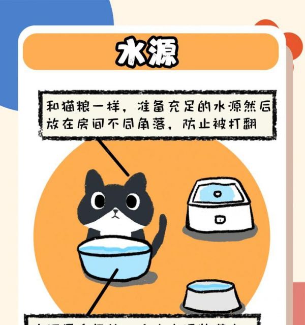 如何合理计算猫咪每日猫粮食量（掌握猫咪食量计算方法，让猫咪健康饮食）