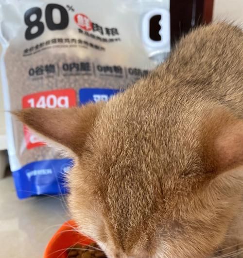 四个月大的猫一天需要多少猫粮（宠物养护指南）