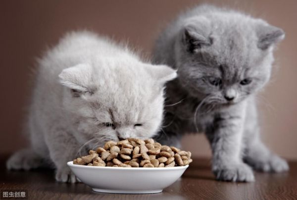 打开的猫罐头在冰箱能放多久？附选择猫罐头的建议