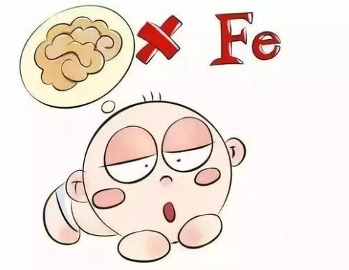 宠物贫血病因:营养不均衡
