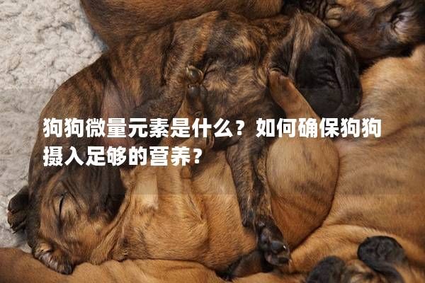 狗狗微量元素是什么？如何确保狗狗摄入足够的营养？