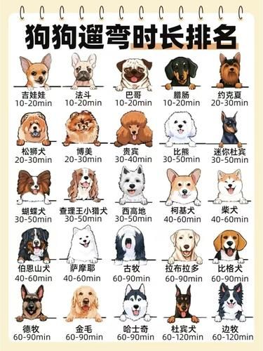 狗狗遛弯时长大揭秘