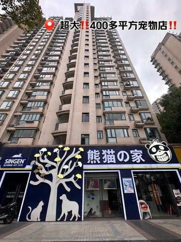 上海超大规模‼️400多平方宠物店‼️