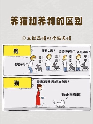 养狗人VS养狗人，扎心了老铁