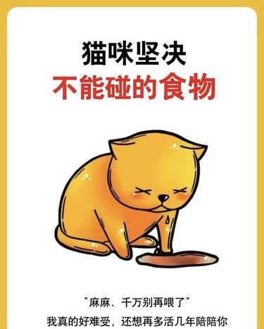 猫咪一直都在忍痛！你却还不知道？