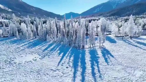 喀纳斯，神仙湾，见山，见水，见雪，见万里丛林，银装素裹。