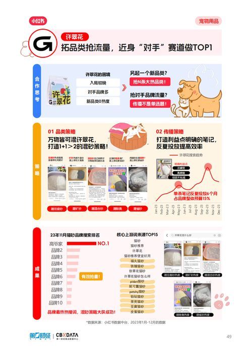 宠物选购,指南!