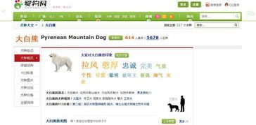 宠物选购，平台比价，网站靠谱指南！