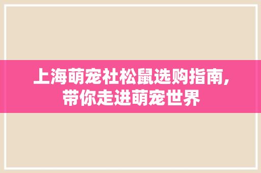 上海萌宠社松鼠选购指南,带你走进萌宠世界