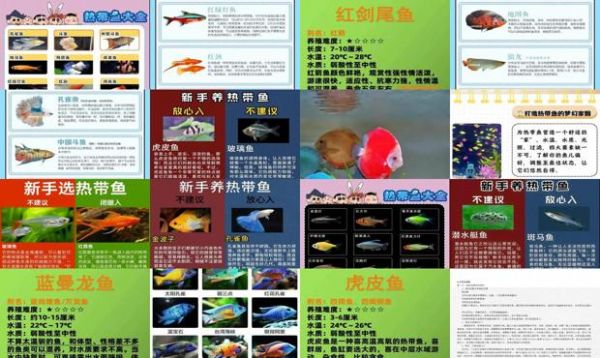 家庭养热带鱼知识